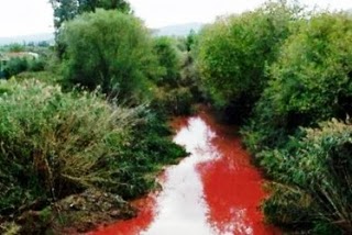 Αυξάνονται τα κρούσματα καρκίνου στα Οινόφυτα…