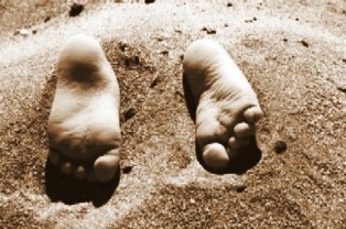 Ξανά με λαχανί Zastava