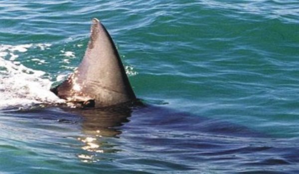 Πάλι τα ίδια, η αγορά κινείται με τις φήμες! Πότε θα υπάρξει Πίνακας Αξιολόγησης Εταιρειών;