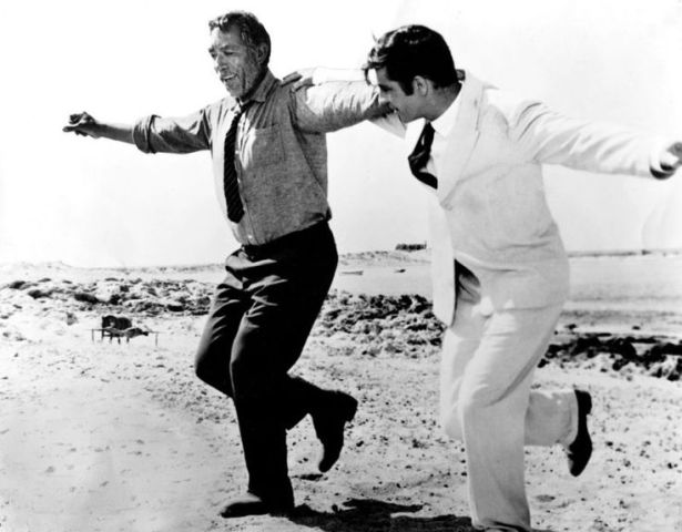 insurancedaily-zorba