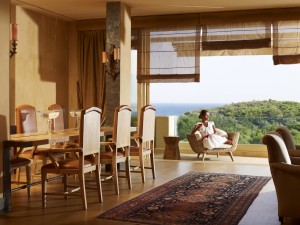 Accommodation VIP Suite