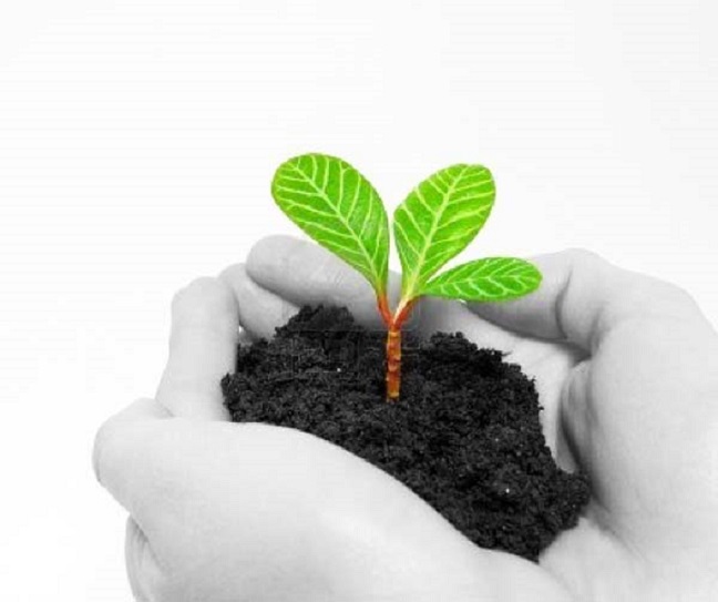 Από πού θα Αναγεννηθεί η Ασφαλιστική Αγορά;