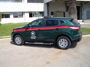 NISSAN & Dasiki ypiresia
