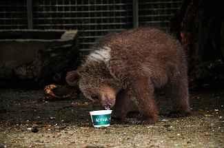 Η Danone στο πλευρό του Αρκτούρου
