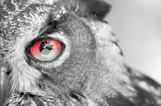 Atradius Market Monitor – August 2014: machines