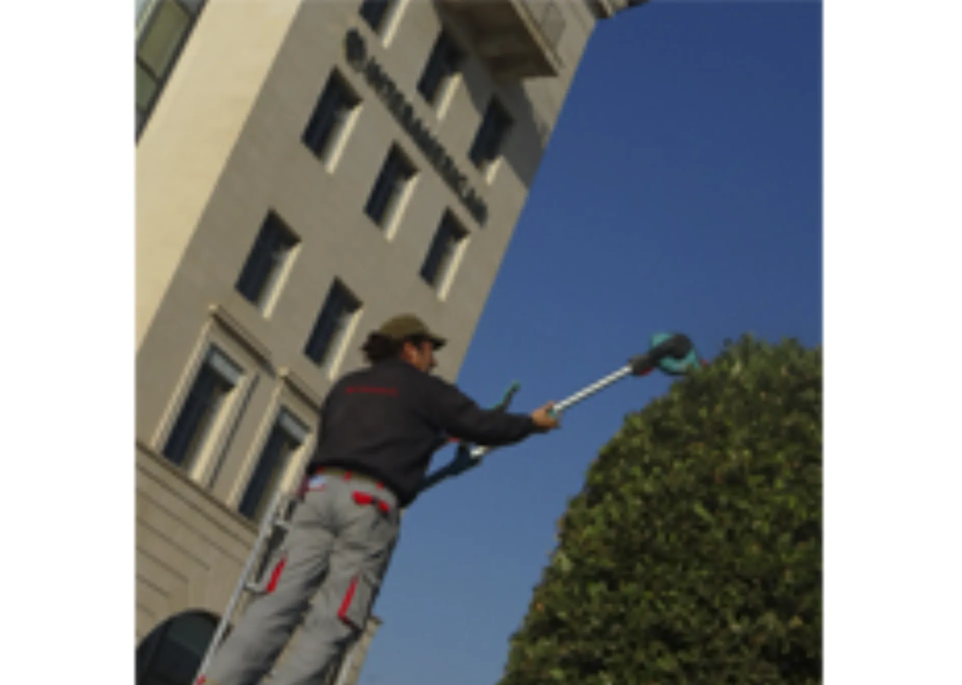 H INTERAMERICAN παίρνει θέση γα την κλιματική αλλαγή