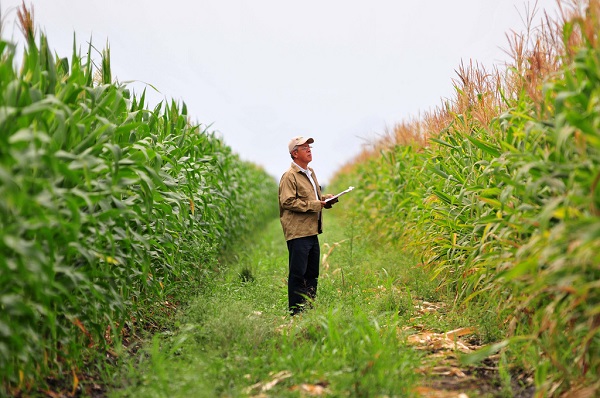 ΟΗΕ: Επενδύστε στην ασφάλιση αγροτικών καλλιεργειών