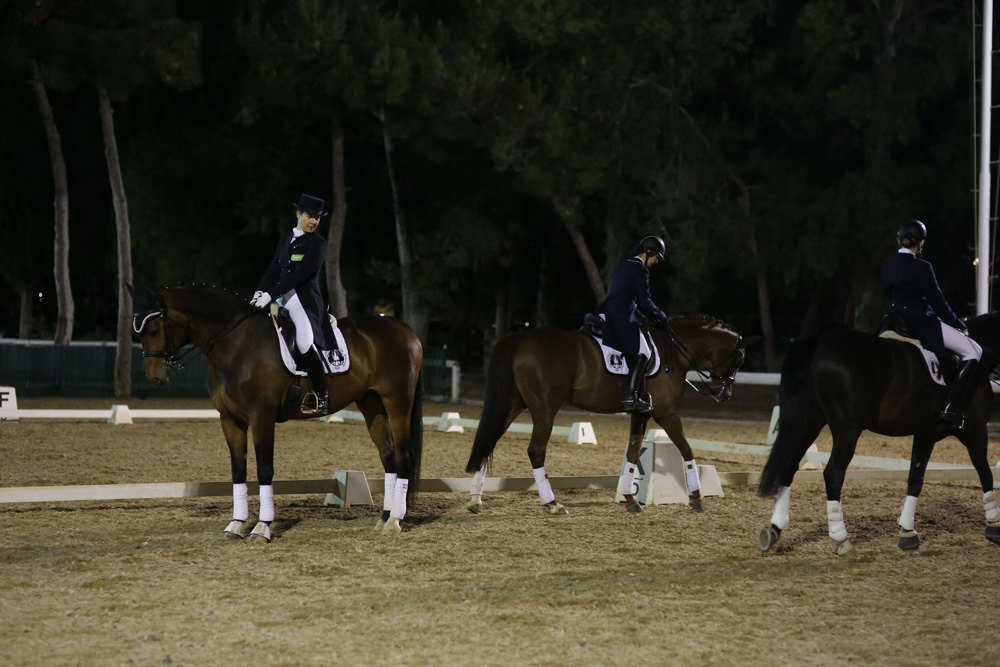 Στιγμιότυπο από το Freestyle Dressage