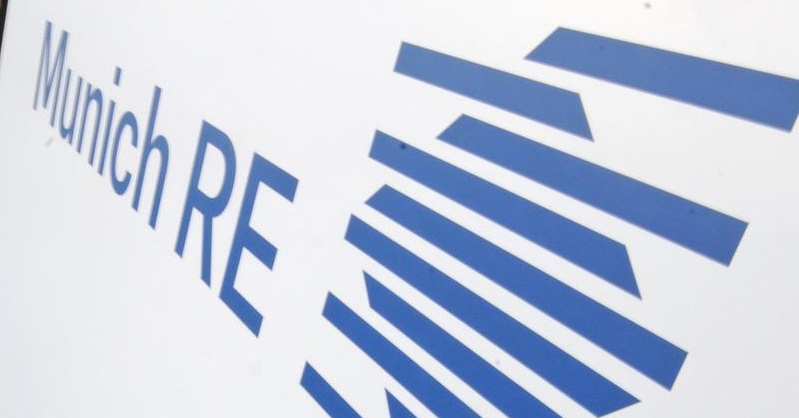 munich re insurance daily 2