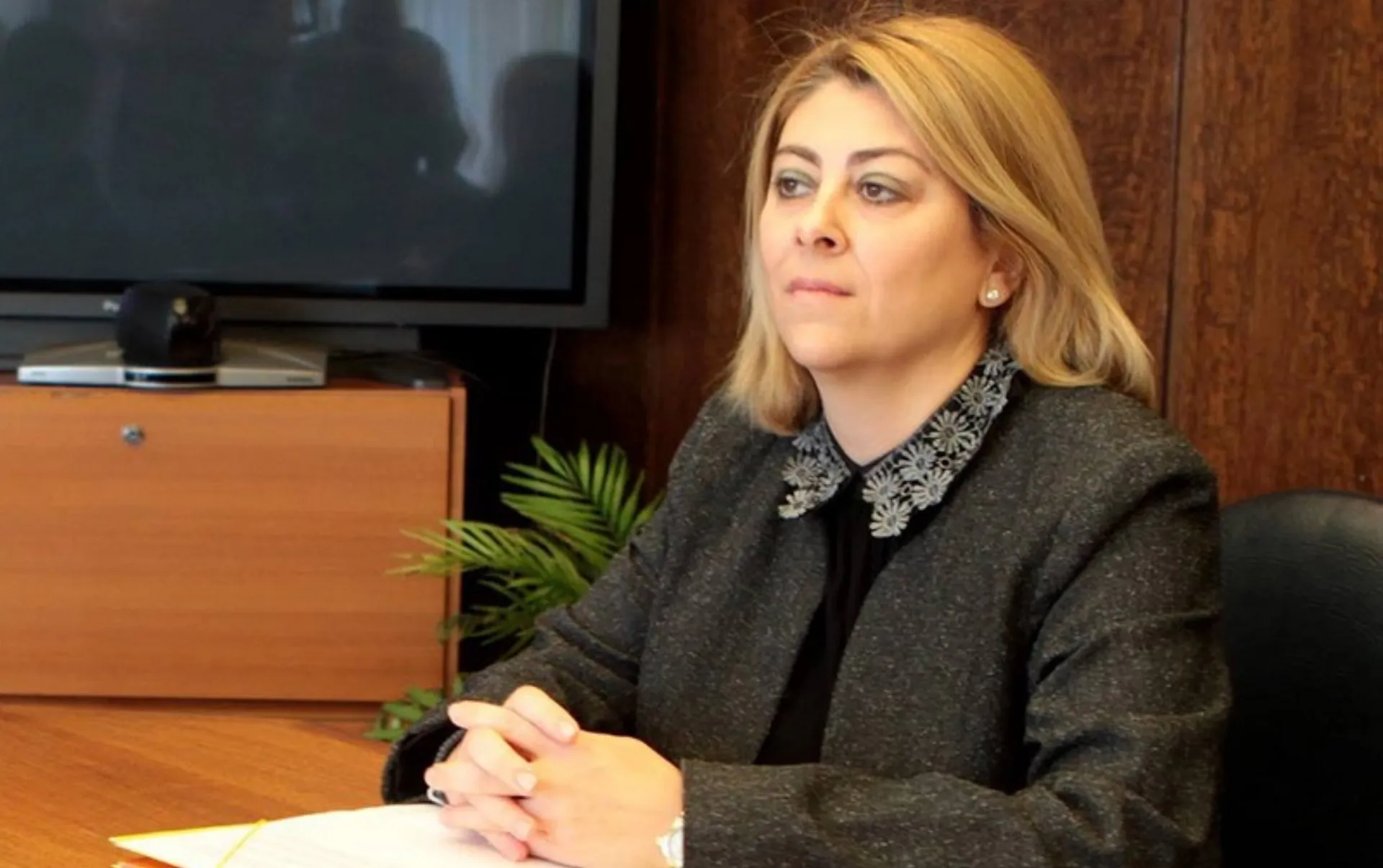 Στα… χέρια της Κατερίνας Σαββαΐδου περνάει το ΣΔΟΕ