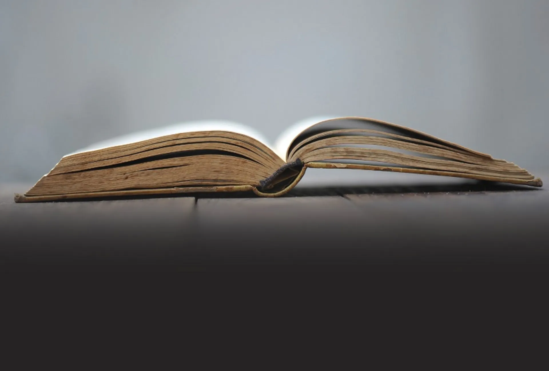 Το εκπαιδευτικό πρόγραμμα του ΕΙΑΣ για τον Φεβρουάριο