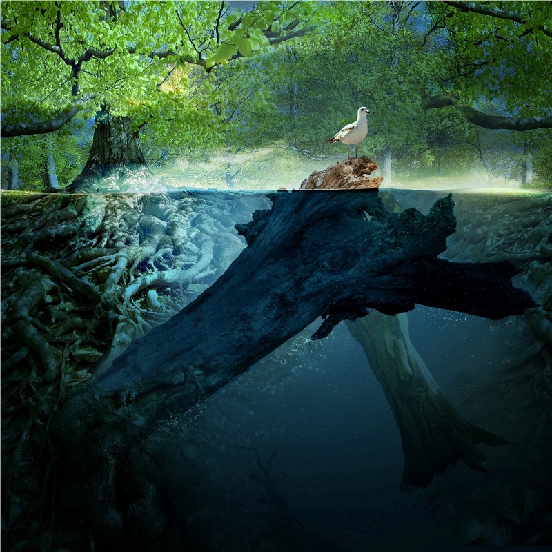 Η Opel χορηγός στο “Drops of Peace”