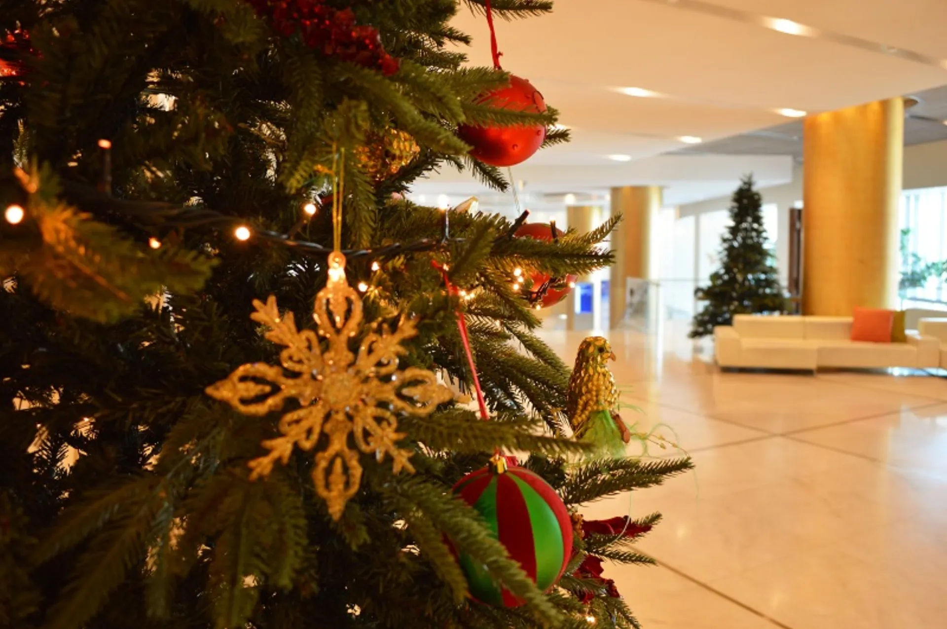 Χριστουγεννιάτικα Κάλαντα στο Hilton Αθηνών & bazaar για «Το Χαμόγελο του Παιδιού»