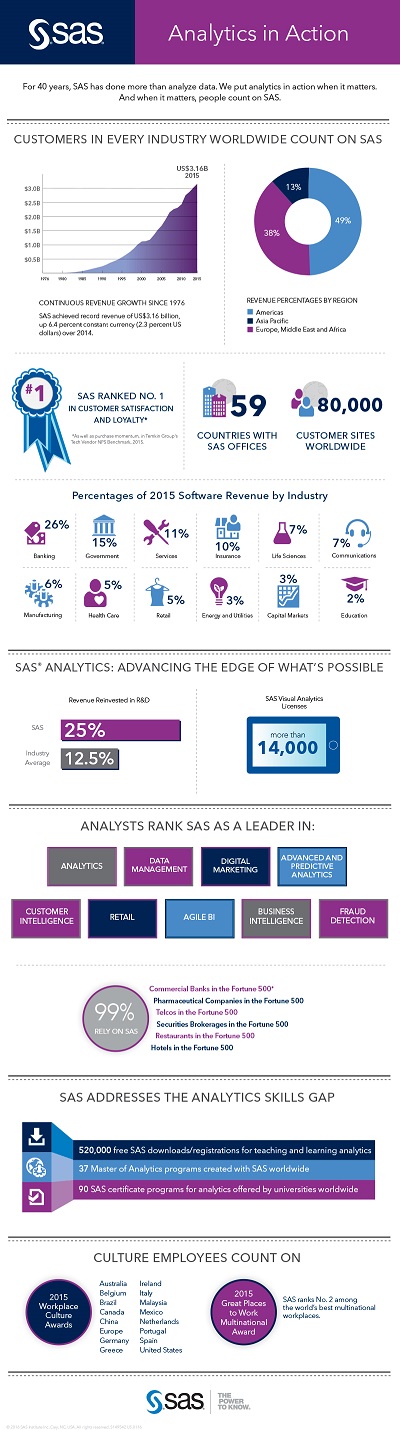 2015 Financial Infographic SAS