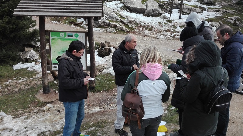 ΟΤΕ Ασφάλιση: Team Building στην Πάρνηθα