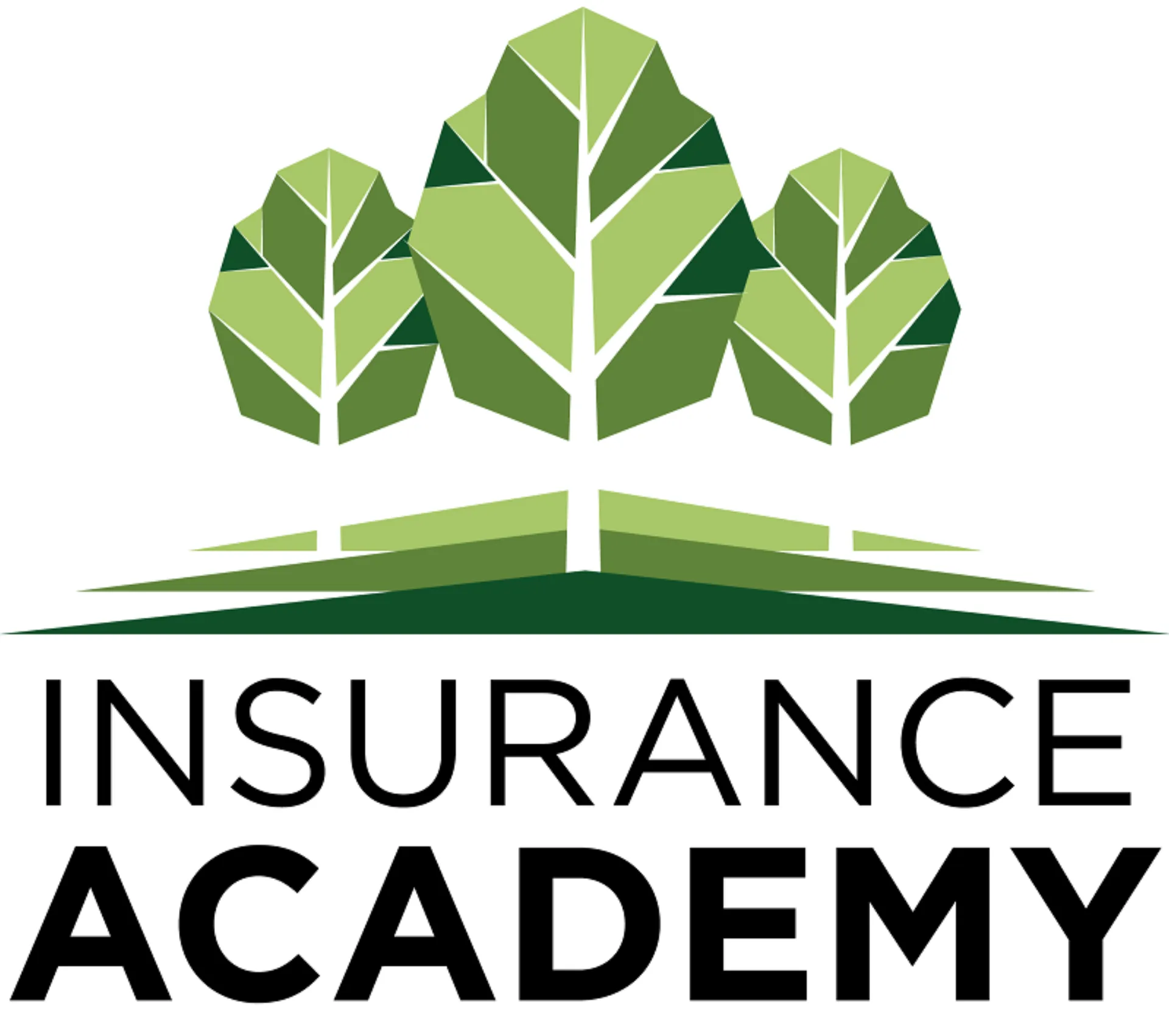 Insurance Academy: Start2Act…