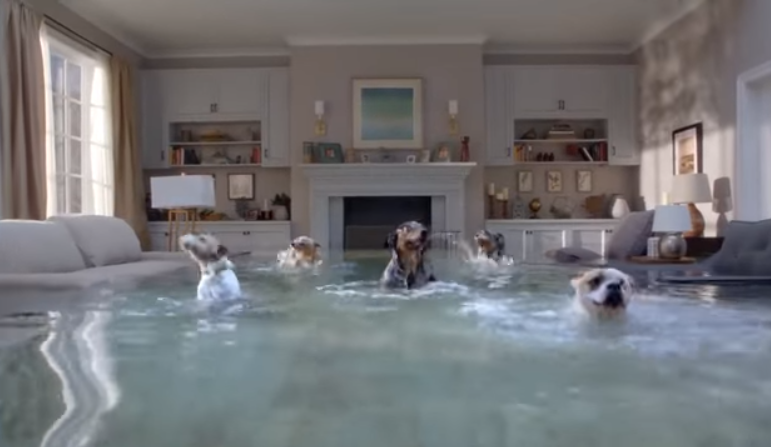 Video: Σκύλο έχετε, ασφάλιση σπιτιού κάνατε;