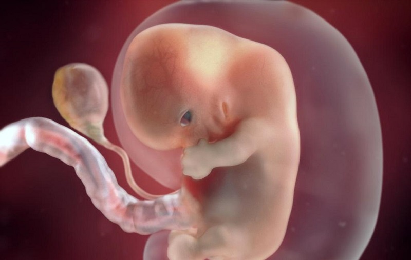 Μέλλοντες γονείς μπορούν να δουν το μωρό τους σε 3D εικονική πραγματικότητα, στις 26 εβδομάδες κύησης