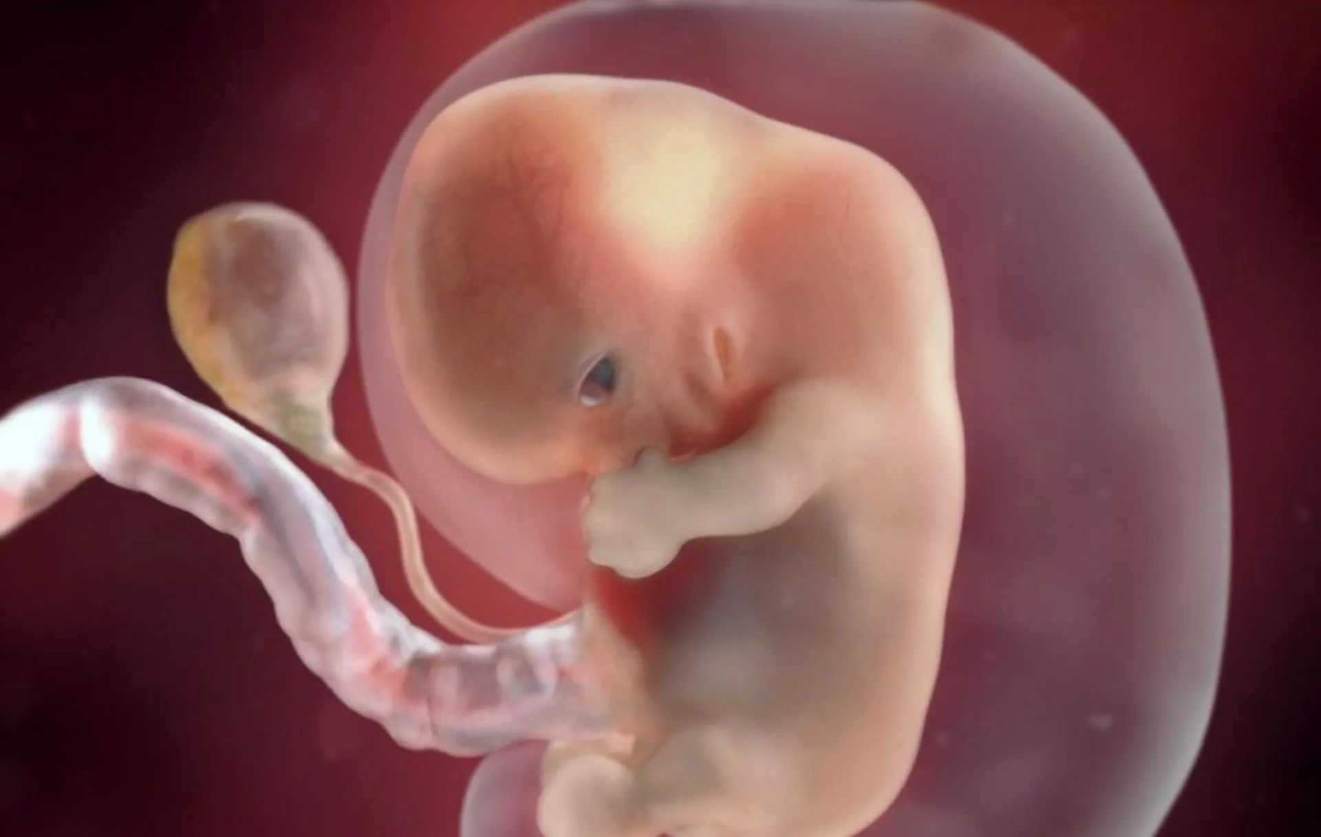 Μέλλοντες γονείς μπορούν να δουν το μωρό τους σε 3D εικονική πραγματικότητα, στις 26 εβδομάδες κύησης