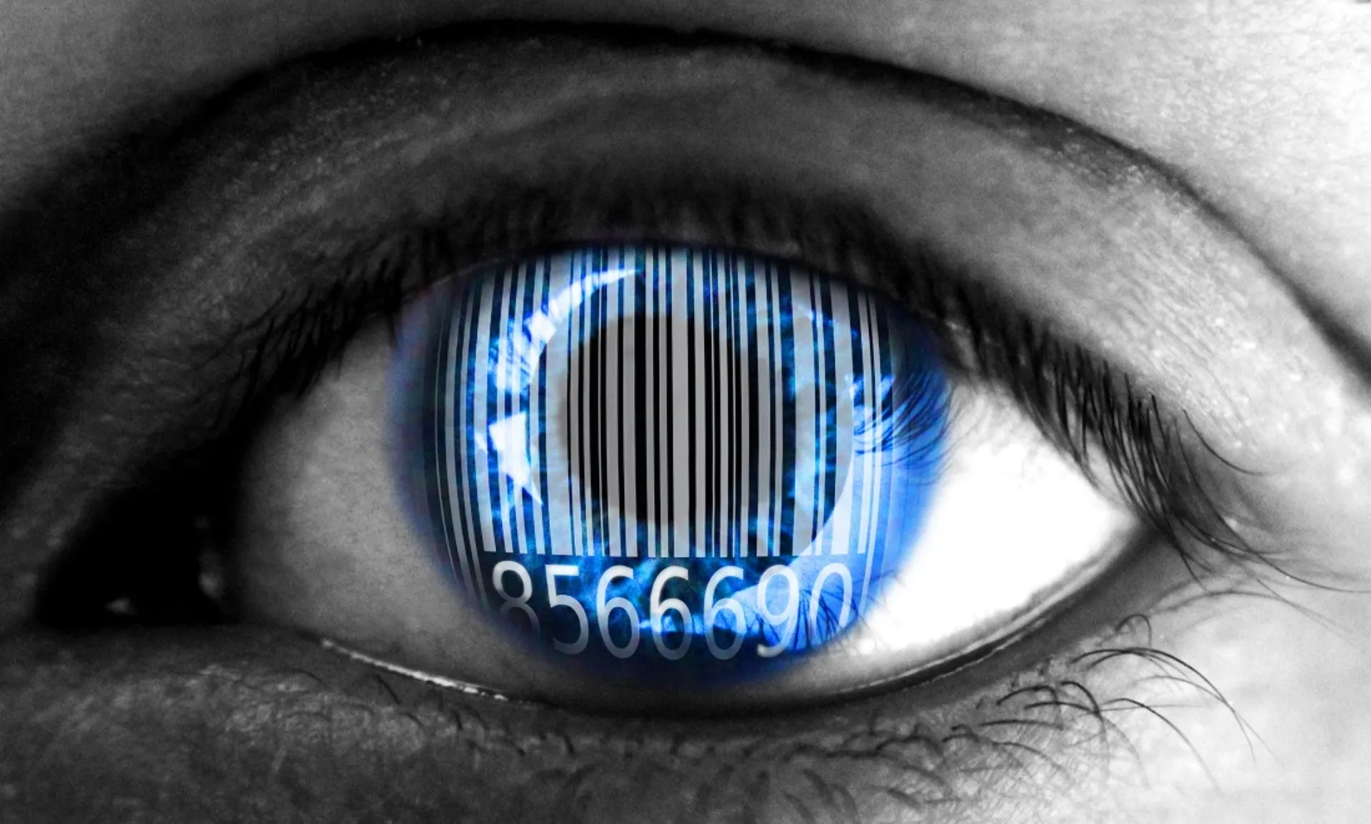 “Καμπάνα” 11 εκατ. σε πάροχο ασφαλιστικού λογισμικού