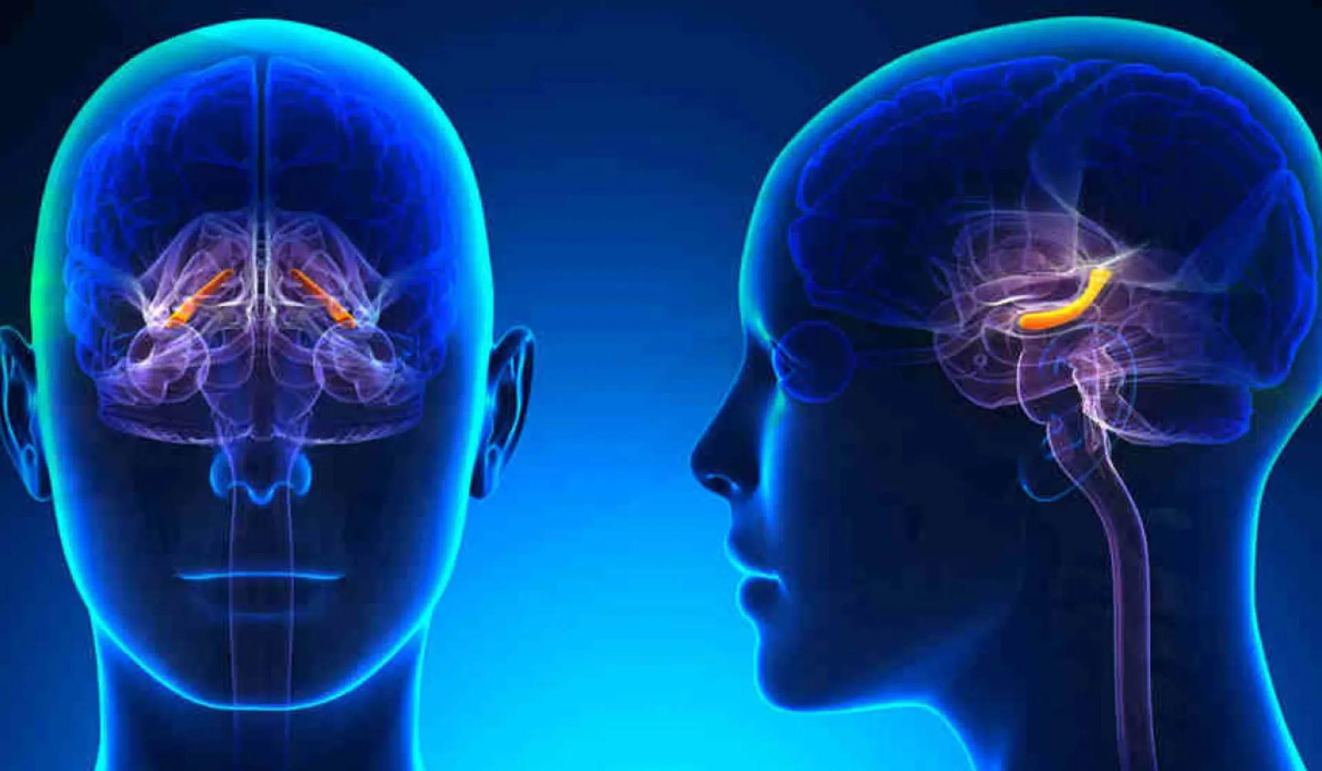 ΙΑΣΩ General: «Η πολλαπλή σκλήρυνση σήμερα αντιμετωπίζεται»