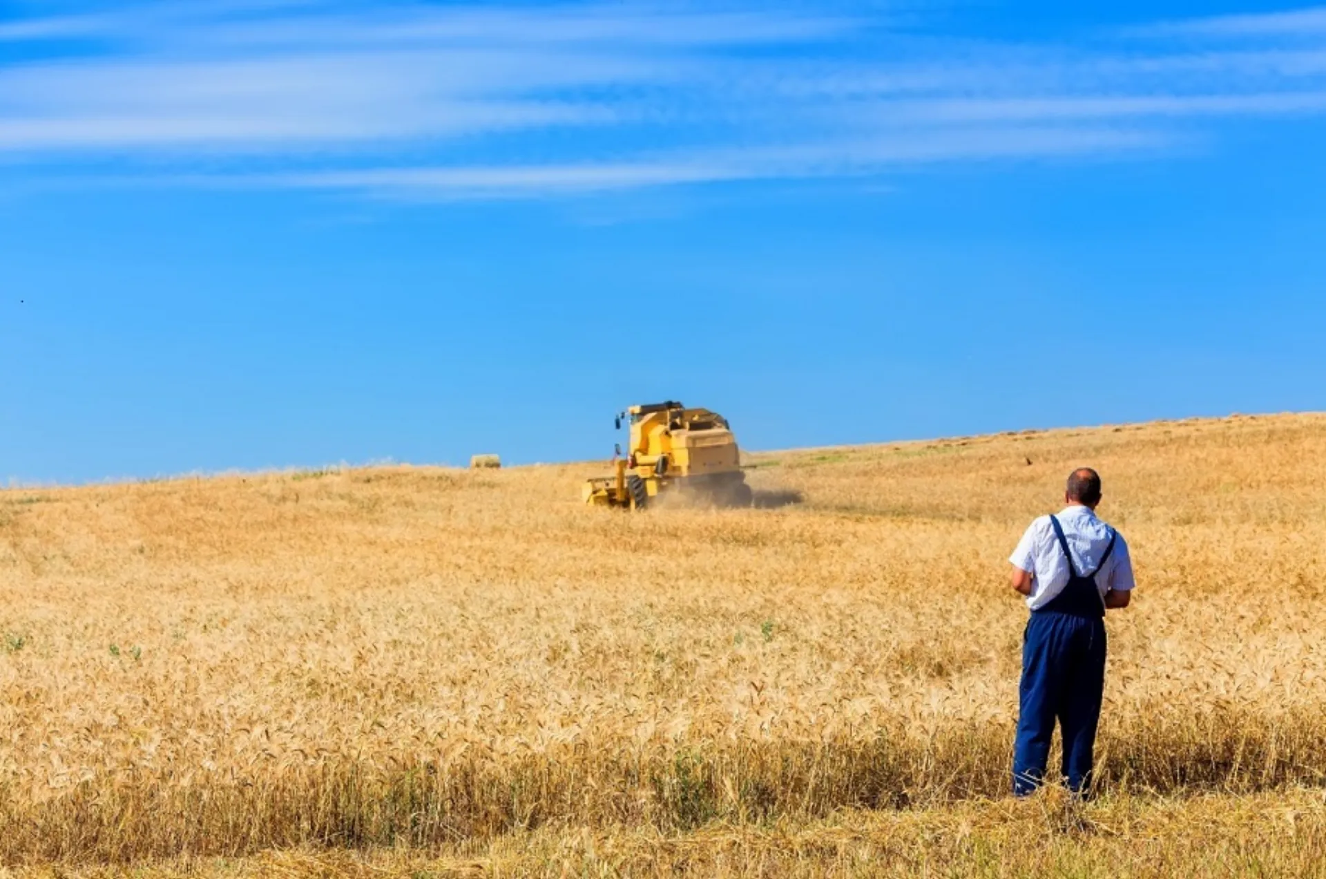ΕΙΑΣ: Αγροτικές Ασφαλίσεις – Αναγκαιότητα, Τάσεις, Περιεχόμενο και Προοπτικές