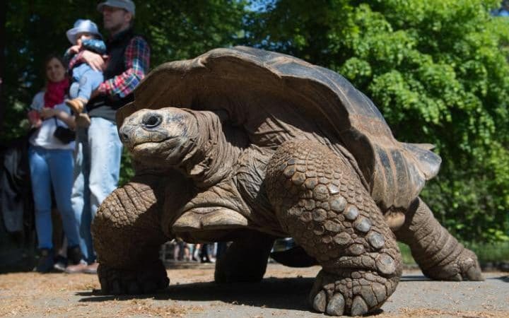 Οι πιο απίστευτες αποζημιώσεις κατοικίδιων