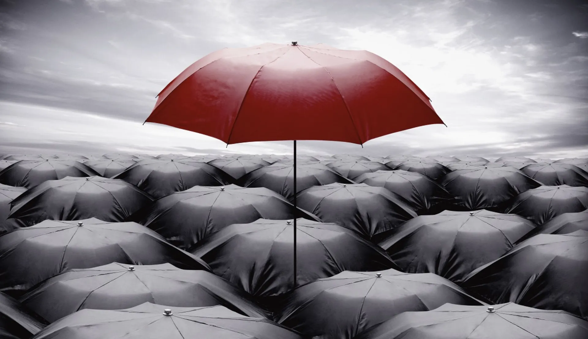 Εκθέσεις Φερεγγυότητας: Η πρώτη εντύπωση