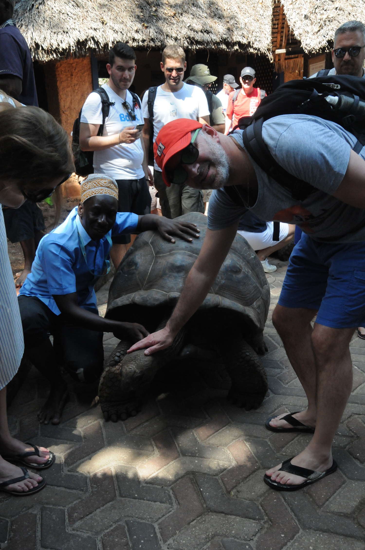 Ι. Ξηρογιαννόπουλος