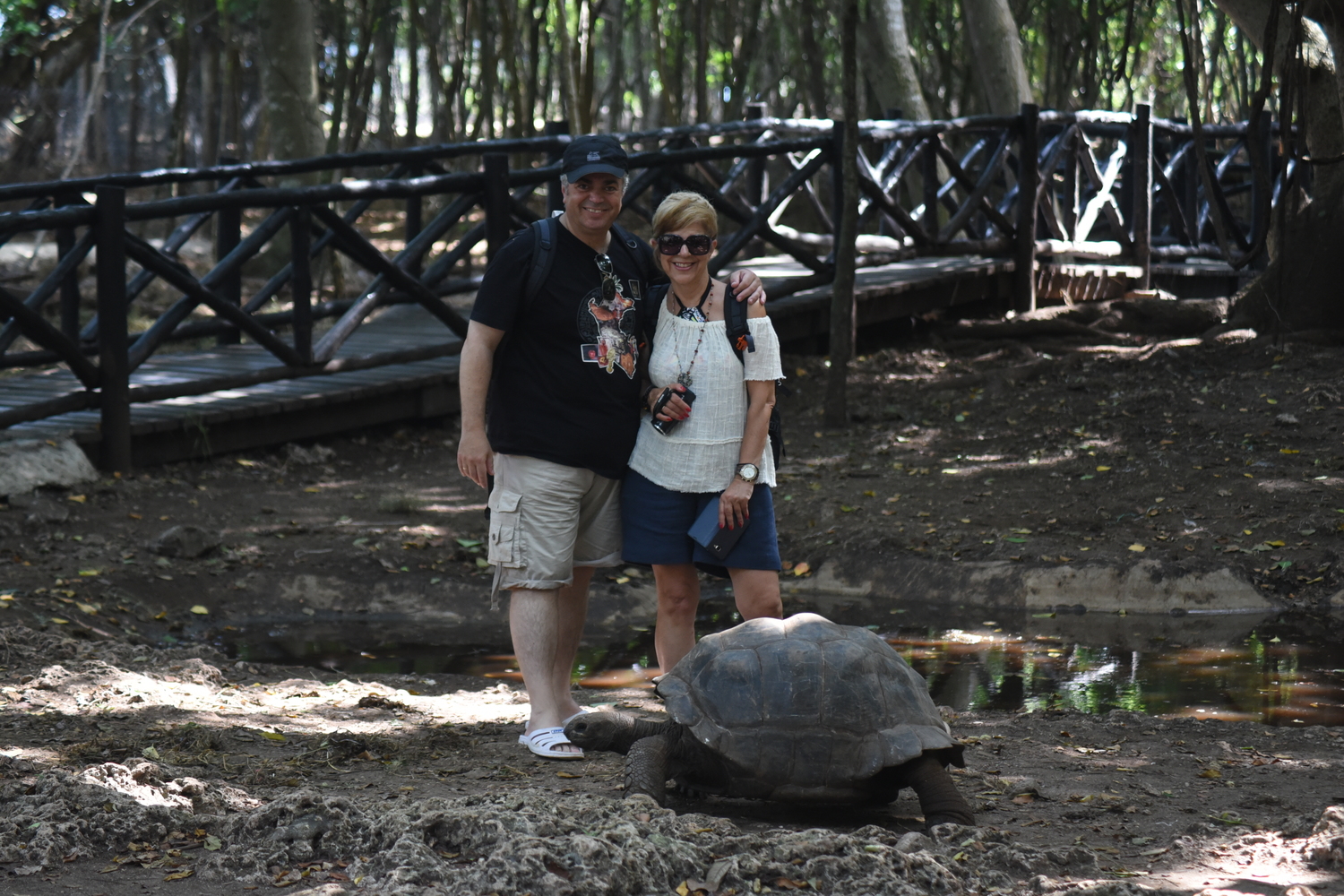 Χ. Δασκαλάκης & Α. Βαγιανού