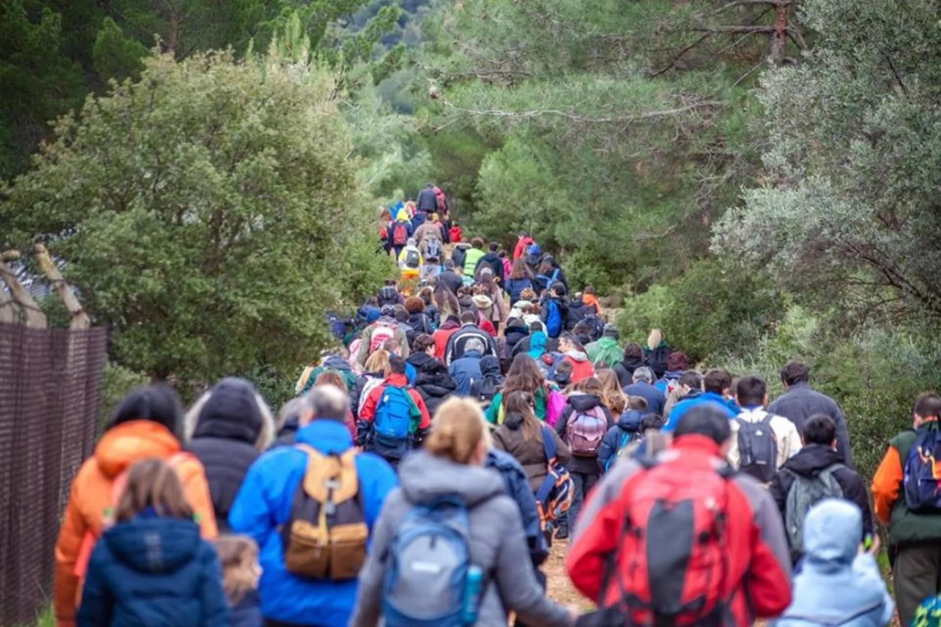 Η Εθνική Ασφαλιστική συμμετείχε ενεργά στο «GreenAthlon»