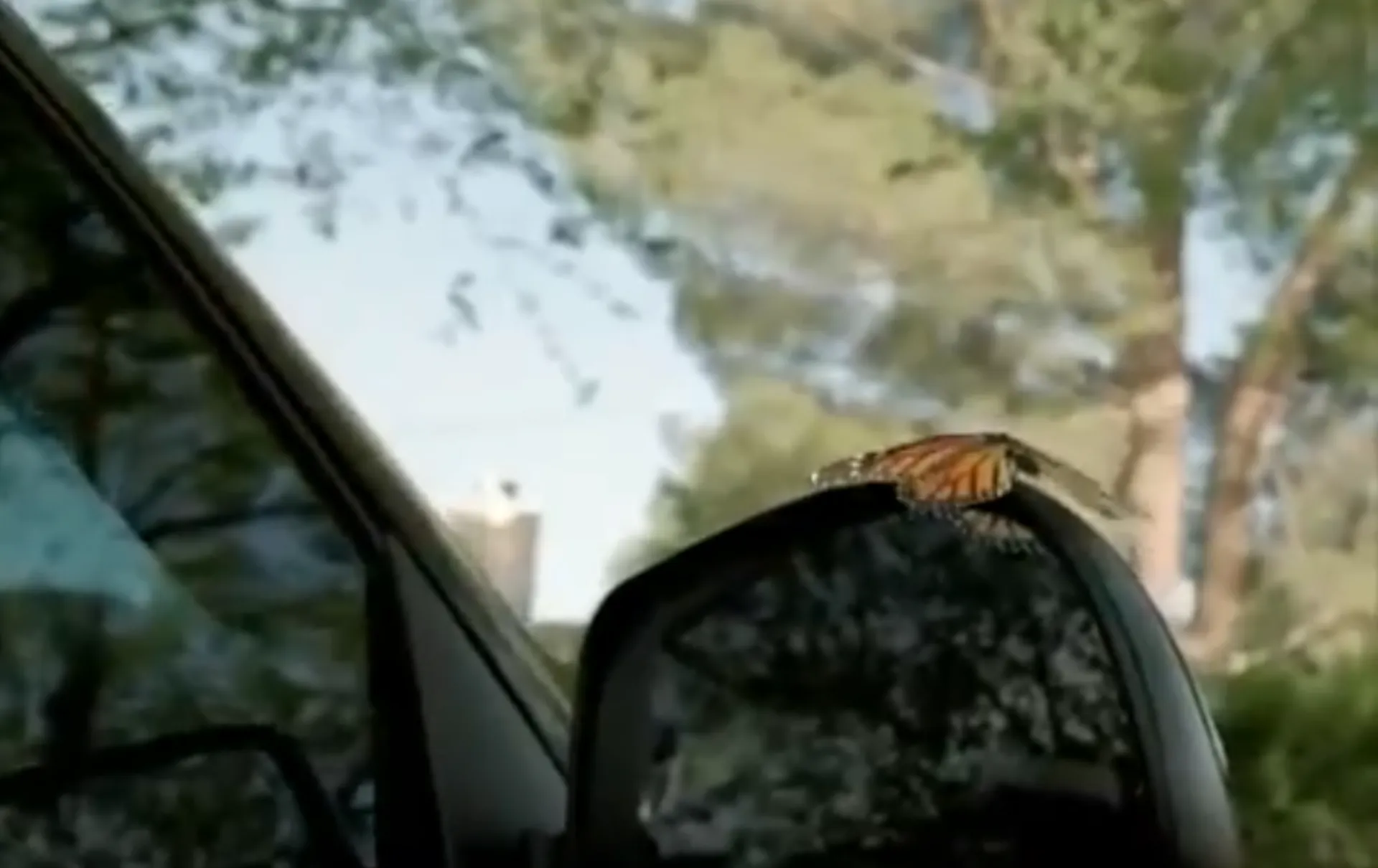 Butterfly effect… στην ασφάλιση