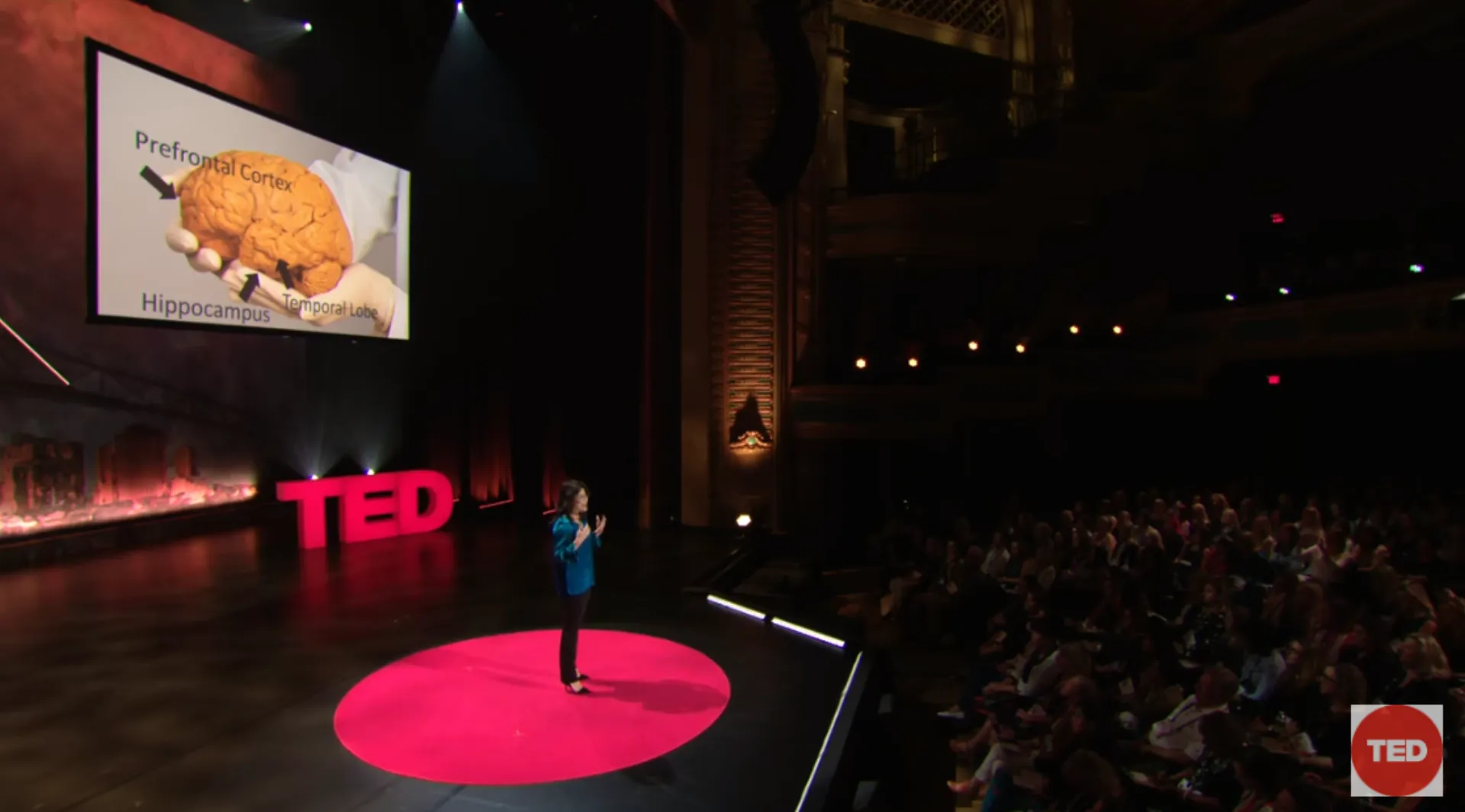 Τι κάνει η γυμναστική στον εγκέφαλό μας