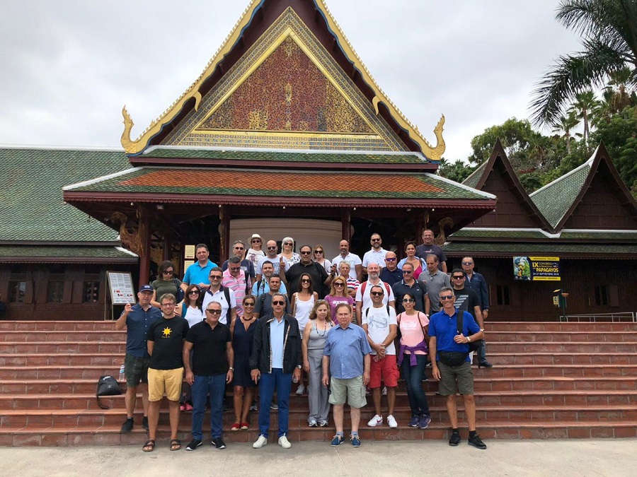 AIG Ελλάς: Ταξίδι στην Τενερίφη για τους συνεργάτες