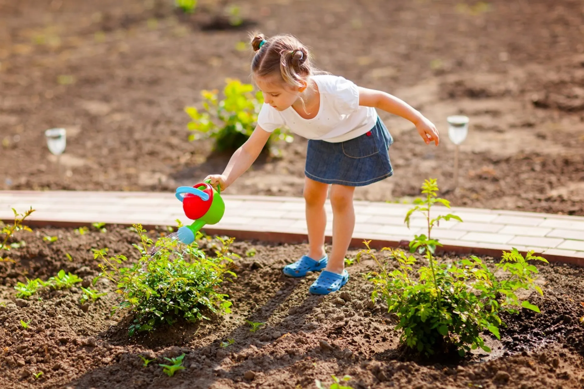 Ταμείο Ερευνών ΑΧΑ:  Προστατεύουμε τον πλανήτη, προστατεύουμε τη ζωή μας!