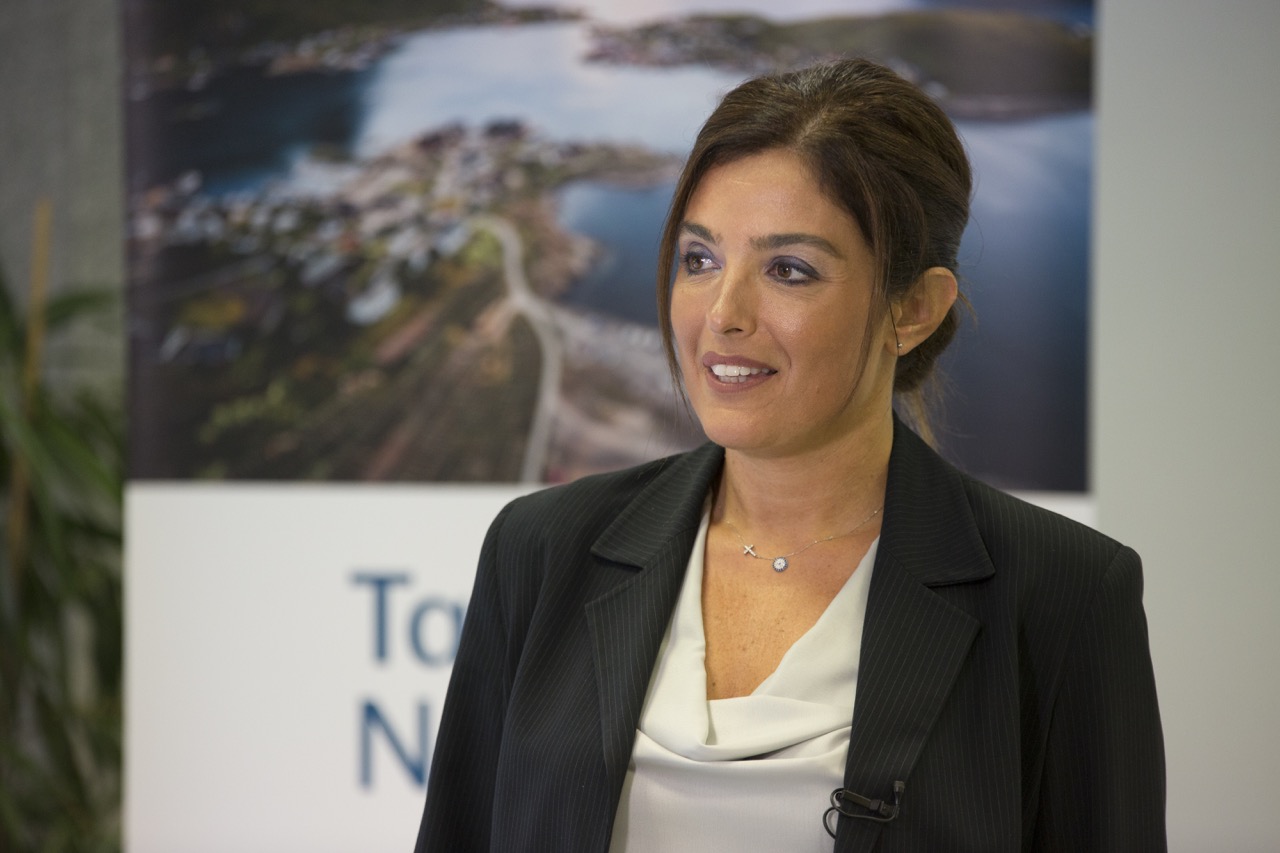 Ν. Γιαννιού,Interasco