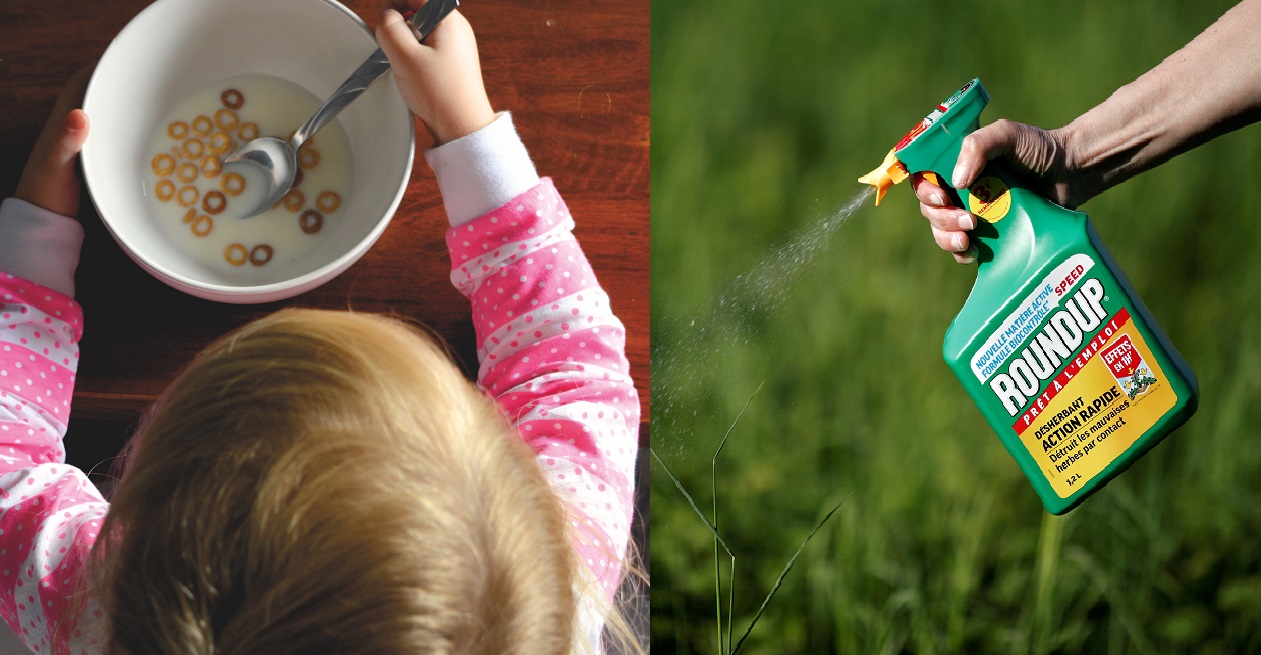 Reuters: Η Γερμανία απαγορεύει τη γλυφοσάτη, την ουσία του Roundup