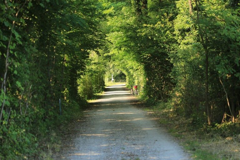 2020: Ορόσημο της δεκαετίας για τους Παγκόσμιους Στόχους