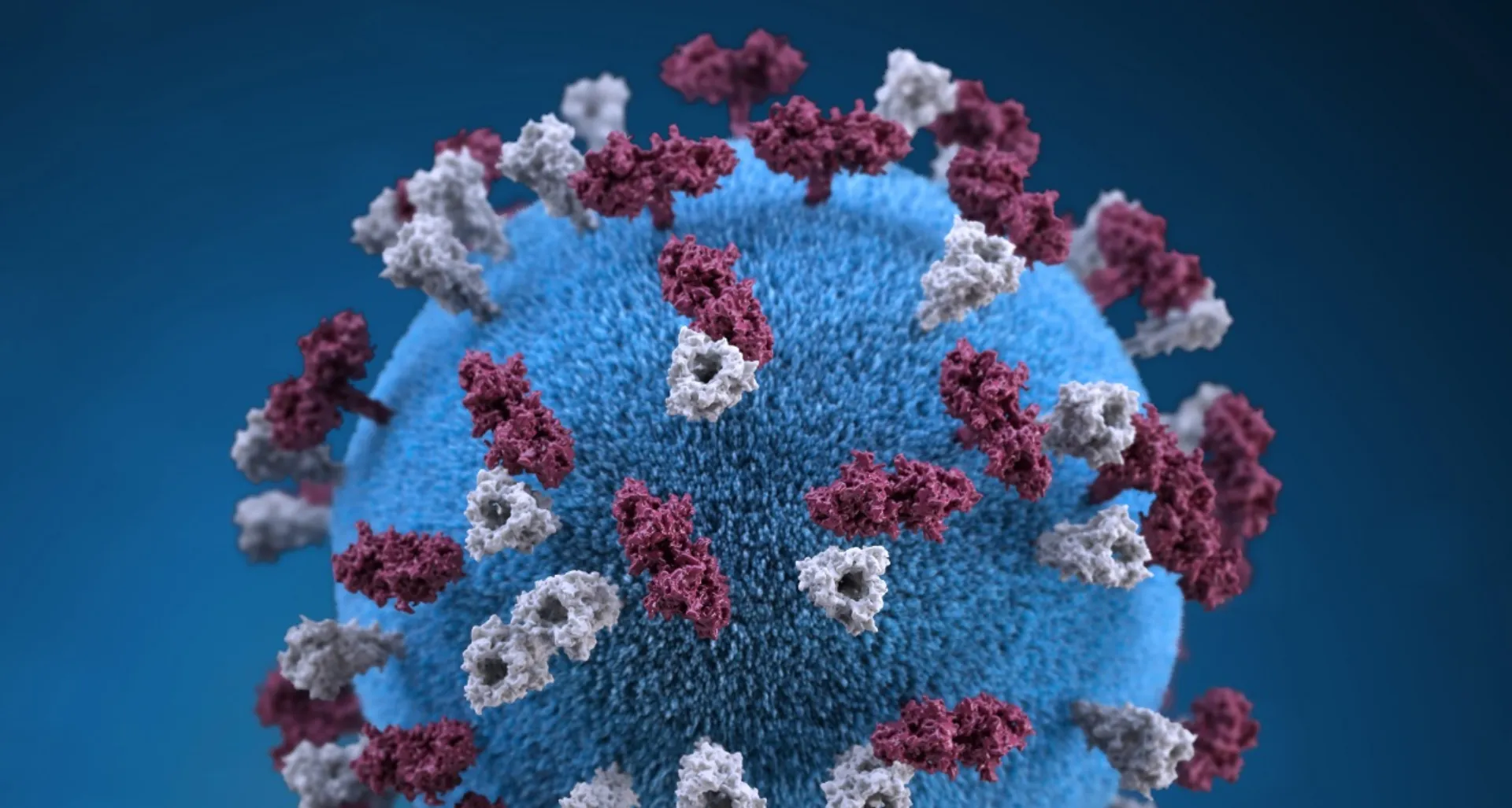 Υπολογιστής και όχι άνθρωπος «χτύπησε» το πρώτο καμπανάκι για την ύπαρξη του κορωνοϊού