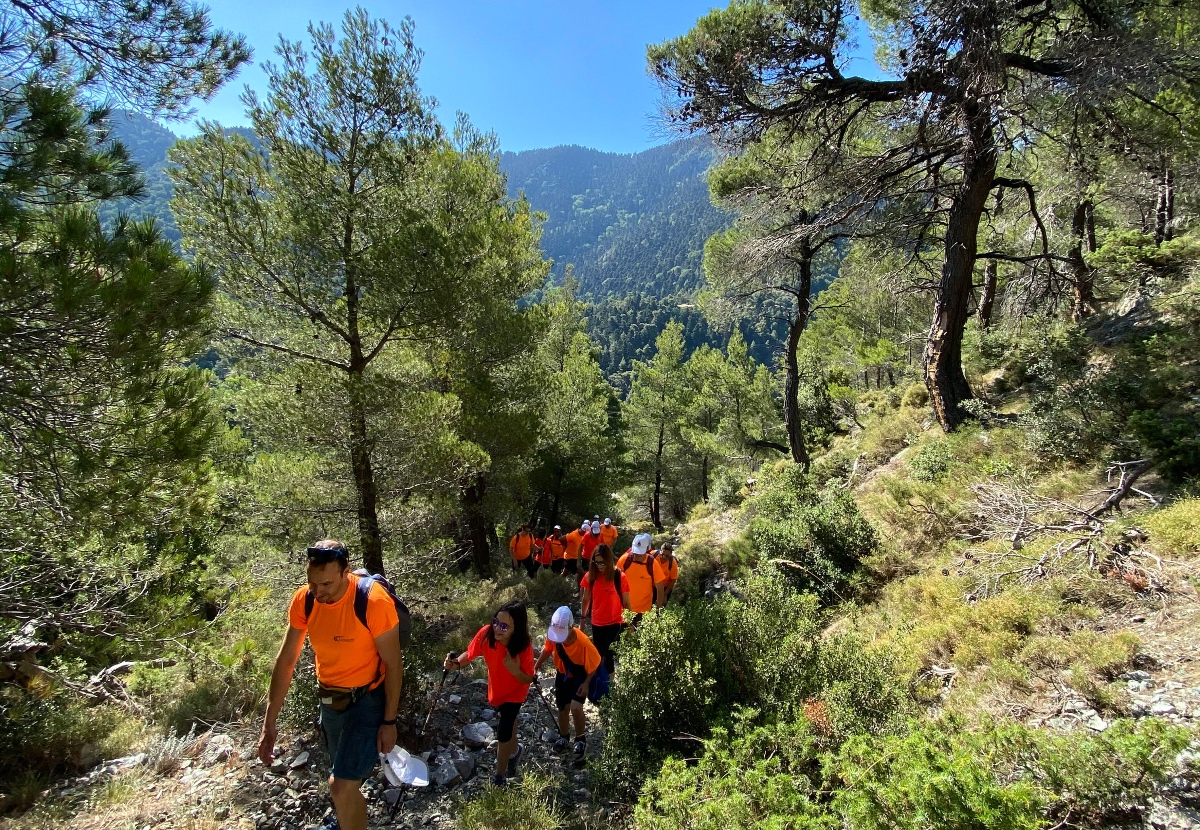 Eurocover “Hike & Run”: Εξόρμηση στην οροσειρά της Δίρφυ