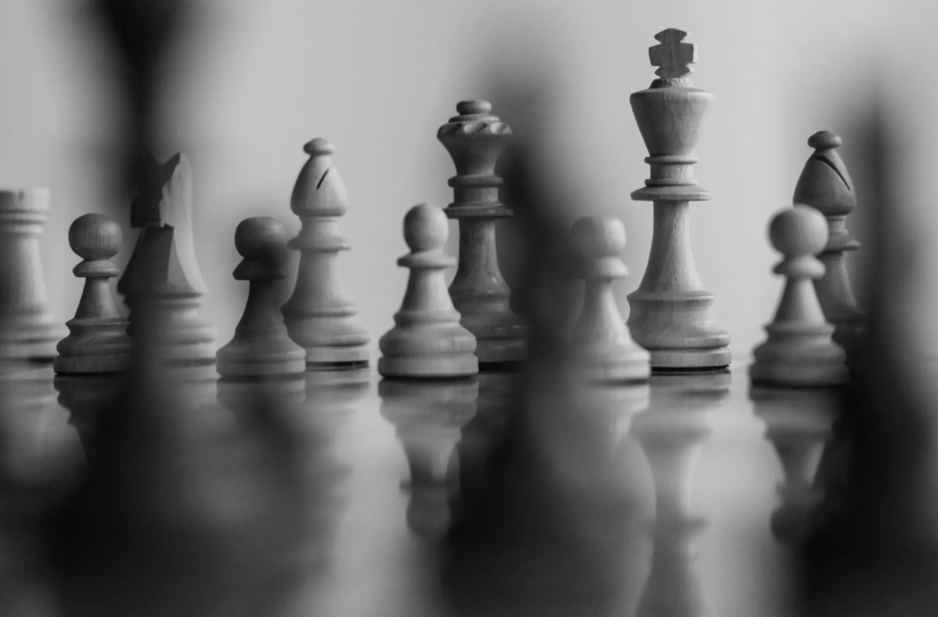 7 ασφαλιστικές στους True Leaders 2019