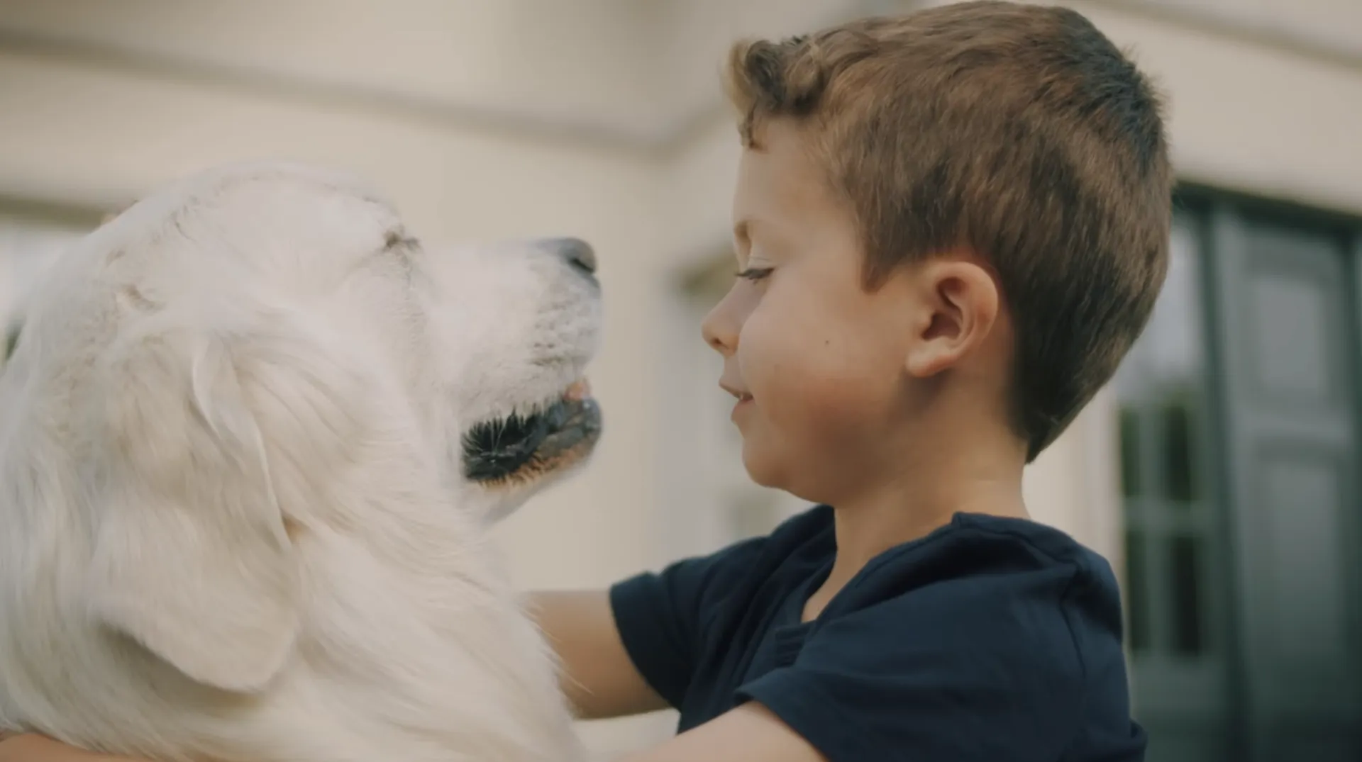 Allianz: Διεθνής ασφάλιση υγείας… για αυτά που δεν μπορείς να αφήσεις πίσω