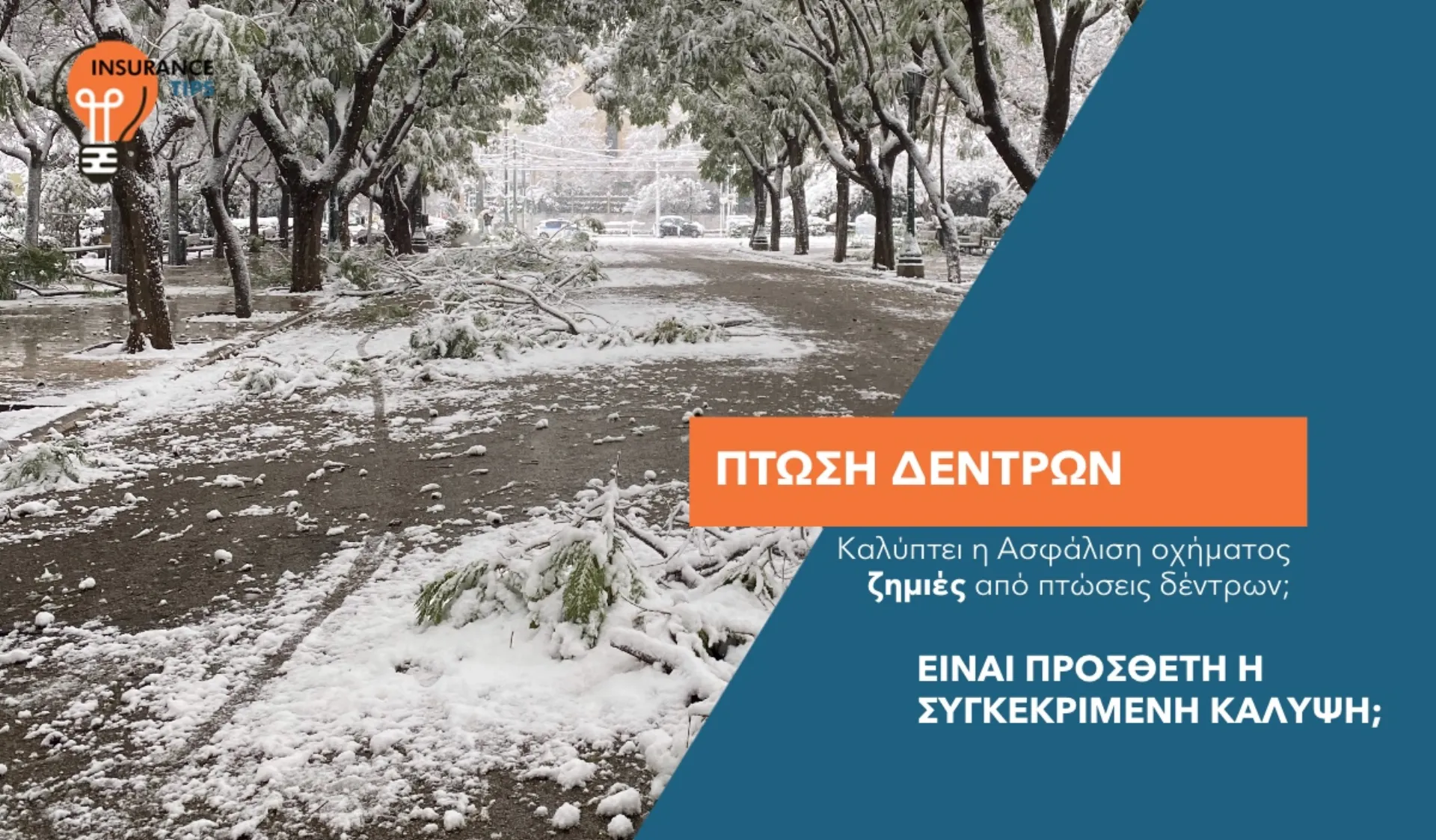 Πότε η Ασφαλιστική Εταιρεία αποζημιώνει για πτώση δέντρου στο όχημα;