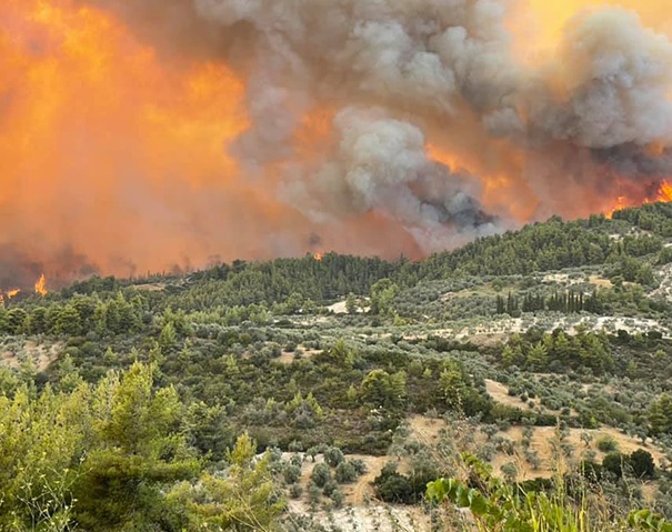 Δασικές πυρκαγιές: €49 εκατ. αποζημιώσεις από τις ασφαλιστικές