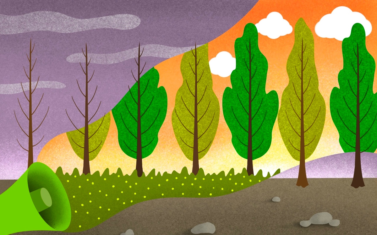 Επιχειρηματική Ηθική και Ταξινομία vs Greenwashing