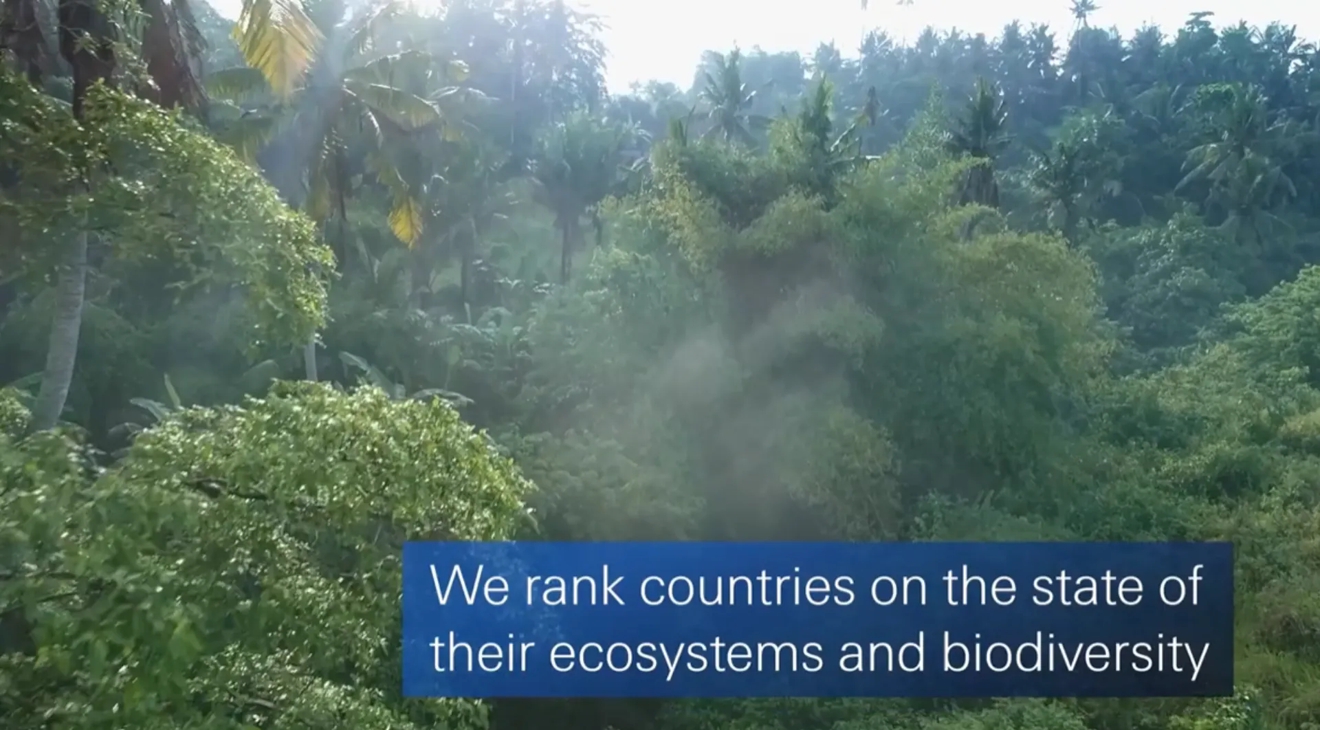 O Δείκτης Βιοποικιλότητας και Υπηρεσιών Οικοσυστήματος του Swiss Re Institute (video)