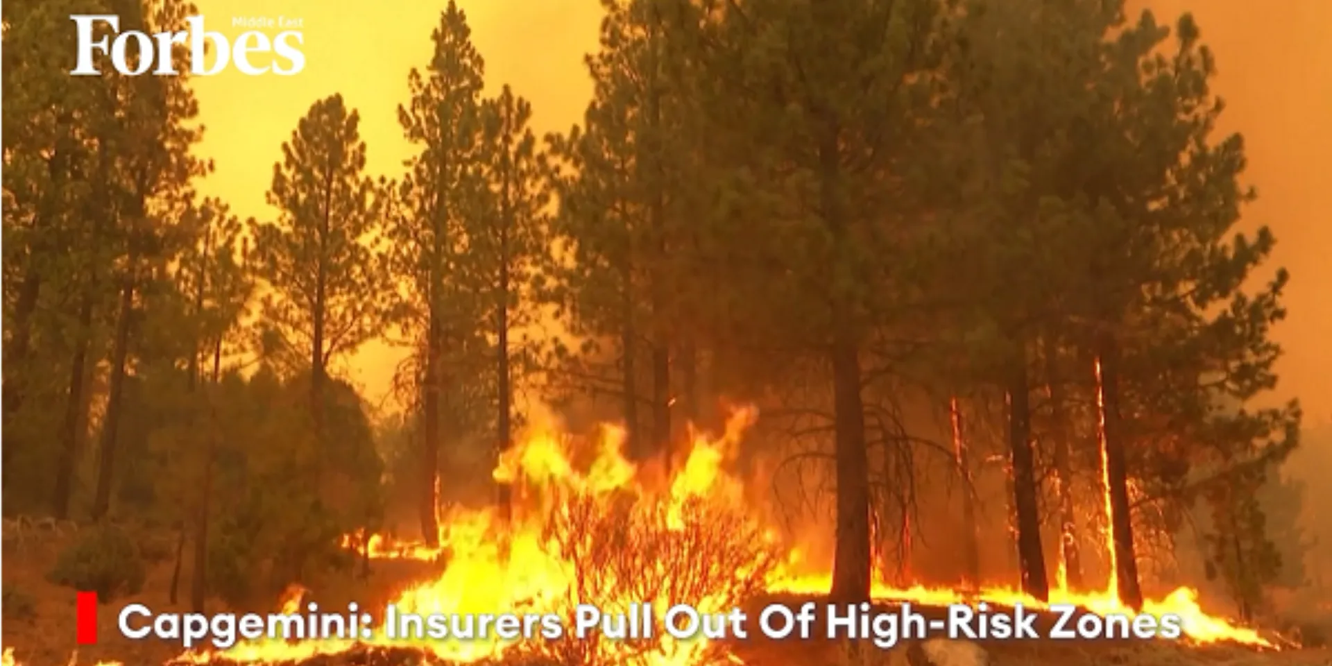 Κλιματική αλλαγή: Αυξήθηκαν κατά 250% τα τελευταία 3 χρόνια οι οικονομικές απώλειες (video)