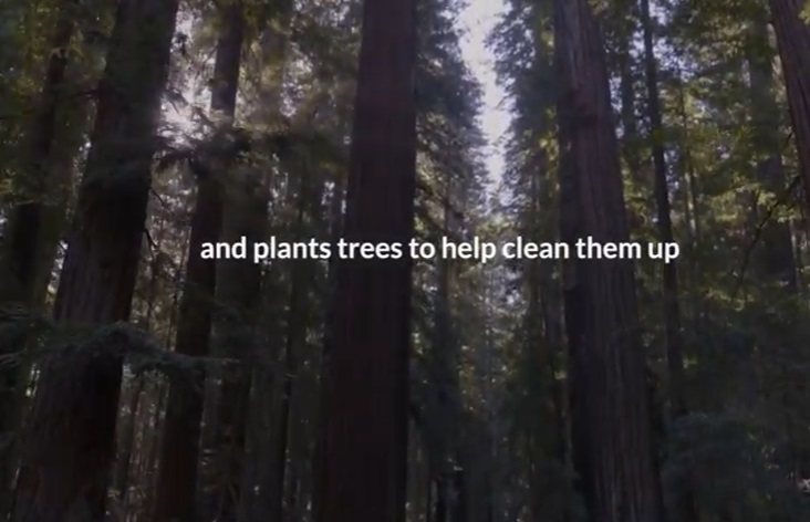 Ασφάλιση αυτοκινήτου που… φυτεύει δέντρα (video)