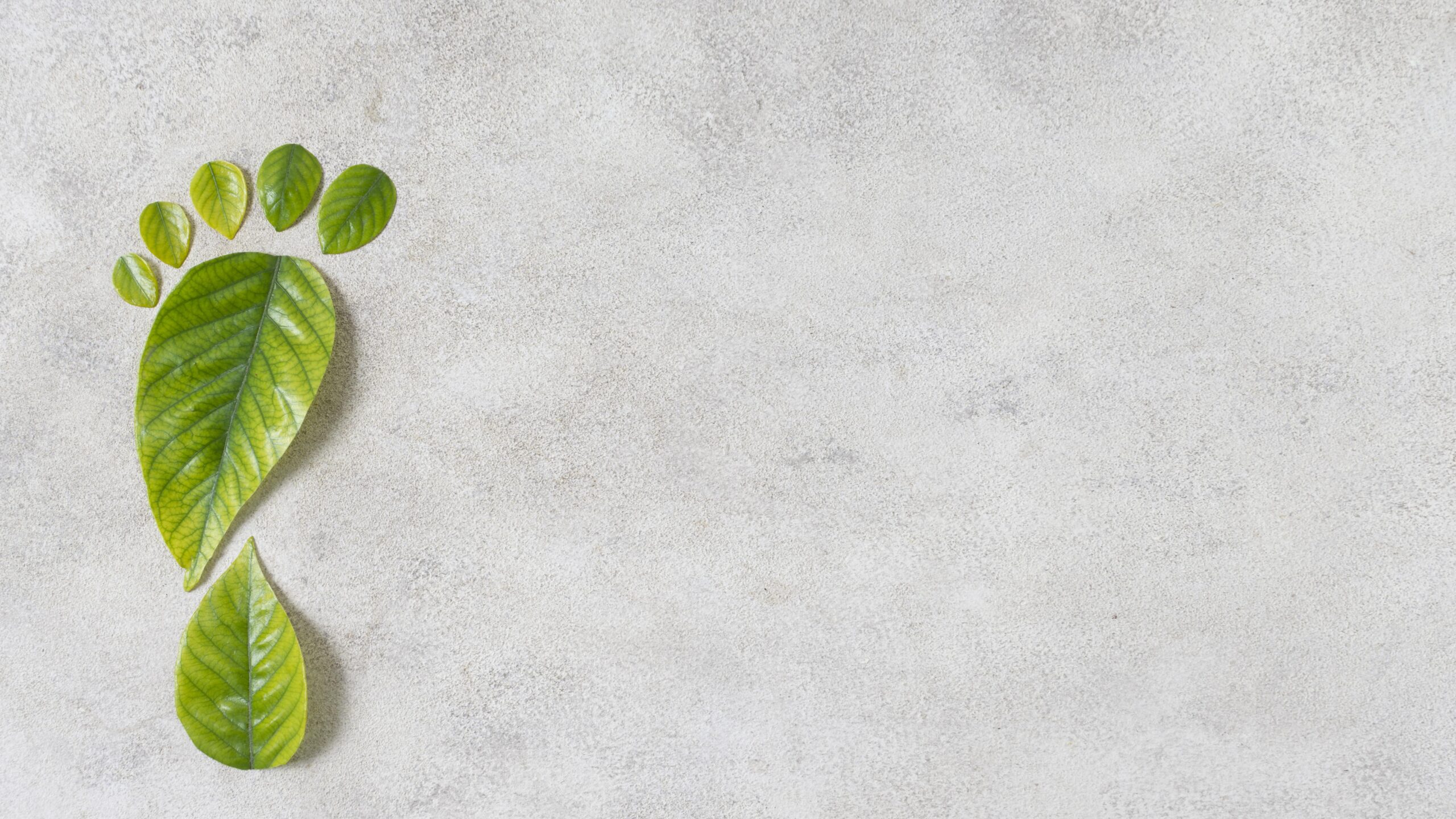 Οι επενδυτικές αποφάσεις έχουν «άρωμα» καινοτομίας και ESG