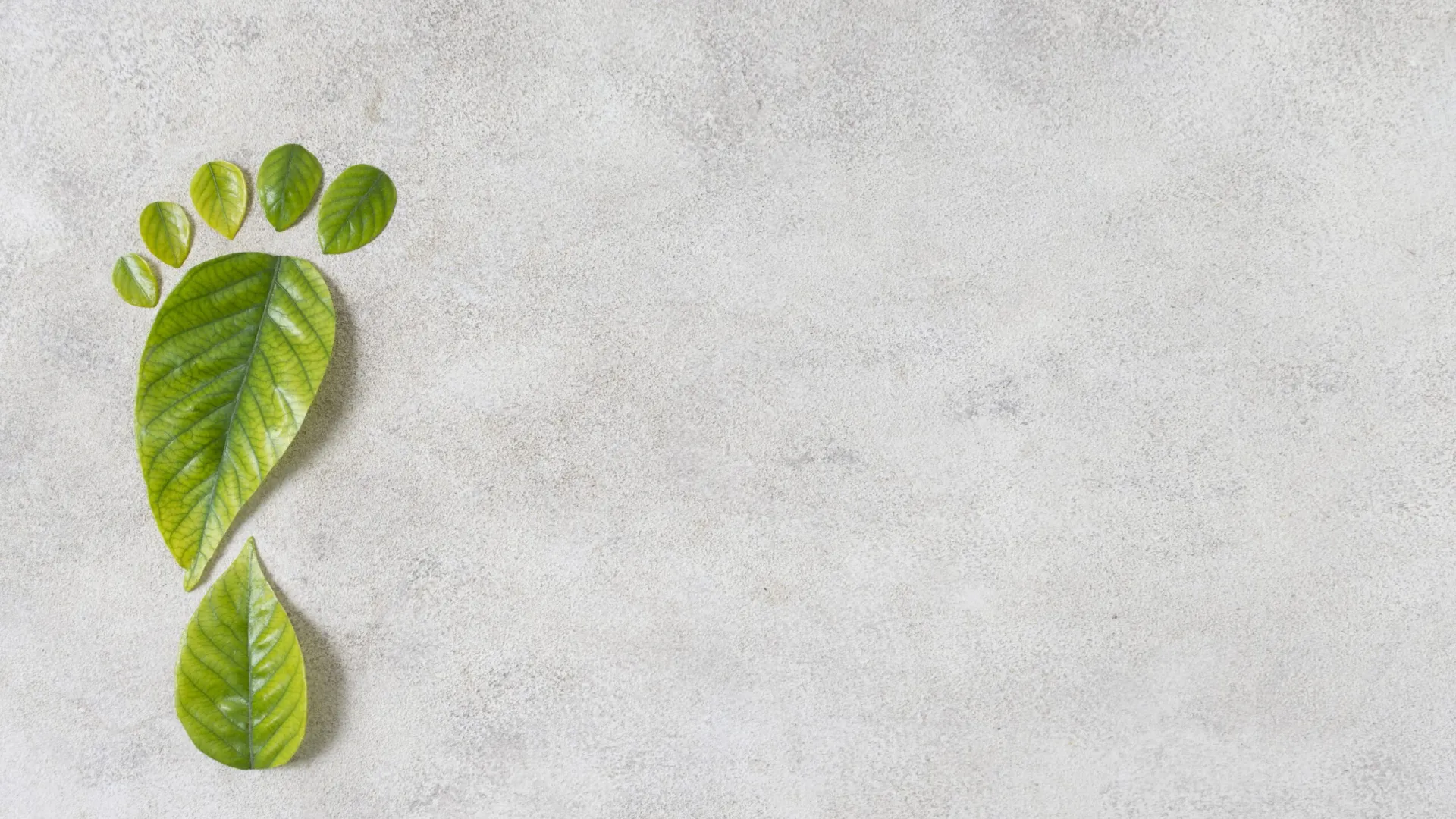 Οι επενδυτικές αποφάσεις έχουν «άρωμα» καινοτομίας και ESG